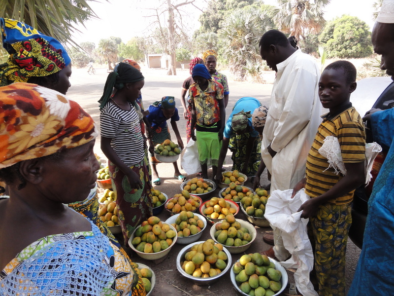 Buying mangos on the road side