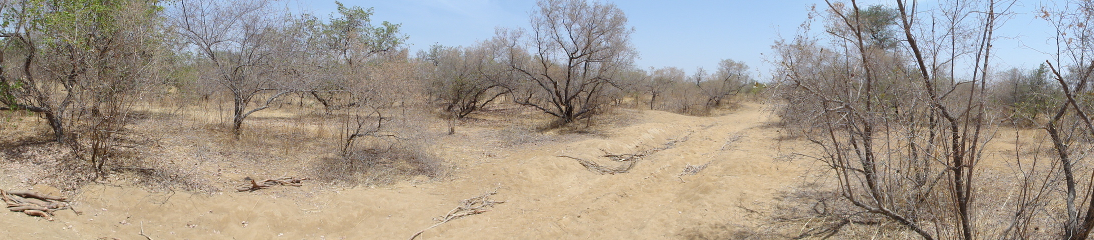 Panoramic View on the track south of Massenya