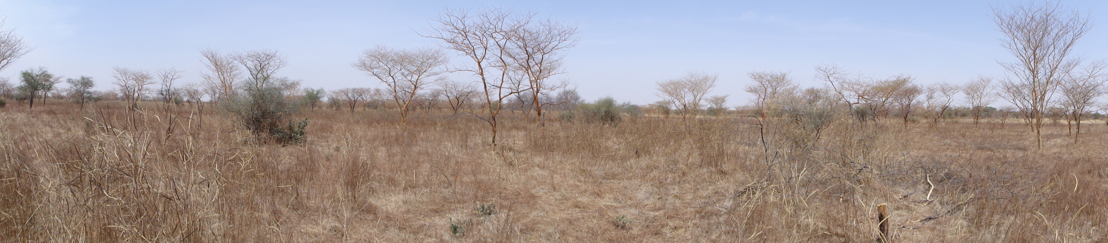 Panoramic view of the area