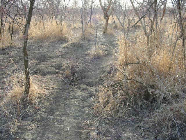 The Confluence in the foreground, view westwards