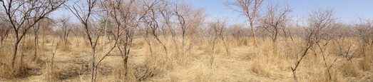 #1: Panoramic view shot from the confluence