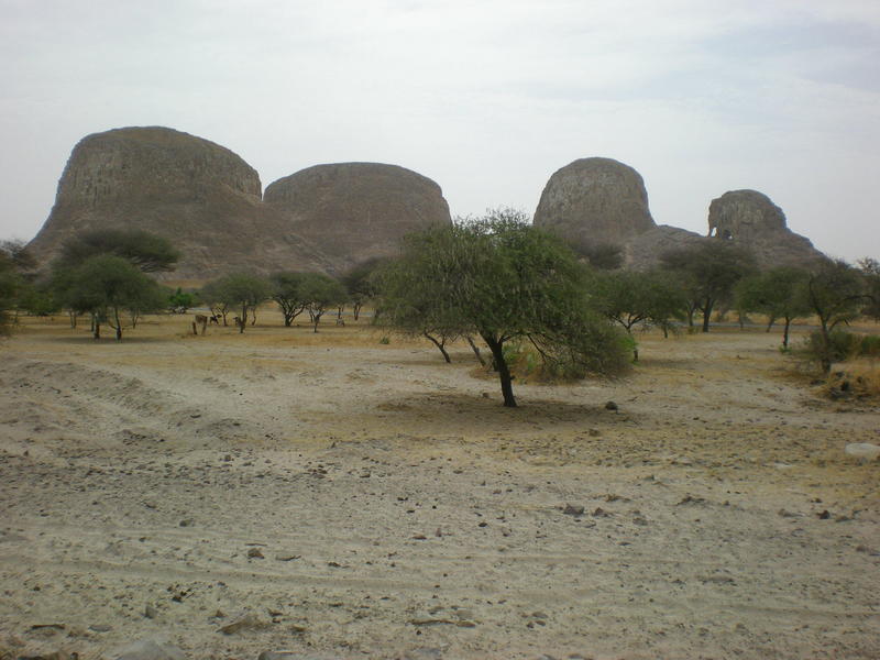 Elephant Rock