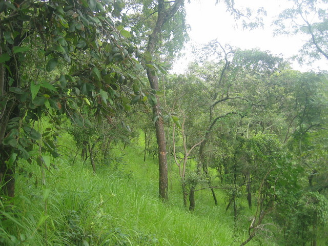 The Confluence - View to the South