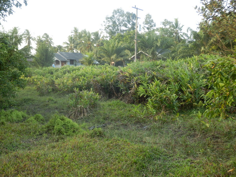 The Confluence from 15 m distance