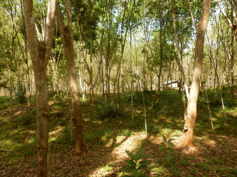 The Confluence from 15 m