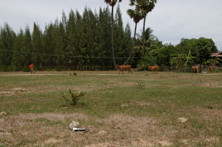 GPS marking the spot (looking southeast)