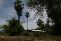 #9: View from neighboring land plot towards the CP (direction: NE)