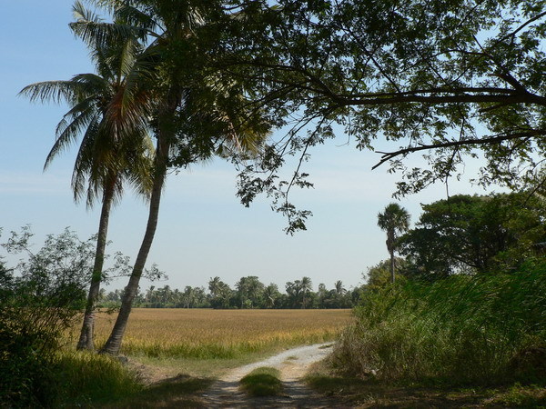 View to the East; taken approx. 60m from confluence