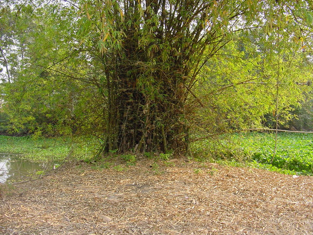 Facing South - Track ends at a canal