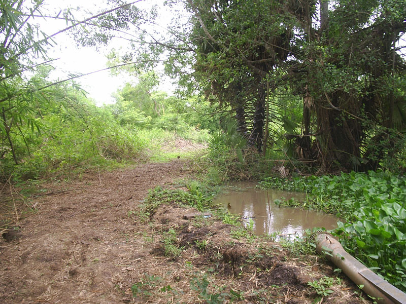 General view of the confluence (looking west)