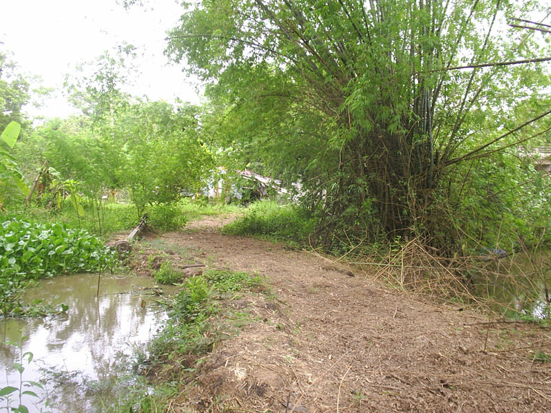 View east from the confluence