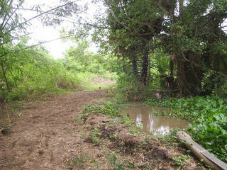 #1: General view of the confluence (looking west)