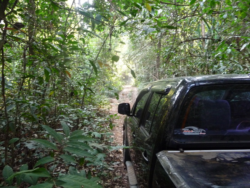 Our first try ended up in failure when our driver didn't want the branches on the road to scratch his pick-up truck.