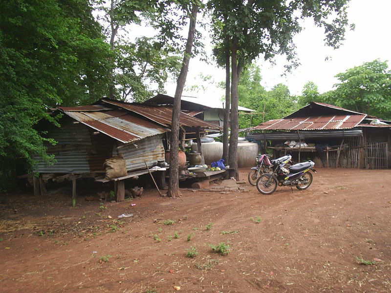 Close up of the farm