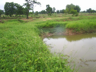 #1: General view of the confluence (near middle of the picture, in the water)