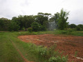 #8: Farm next to the confluence (looking northwest, CP about 35 m behind trees)