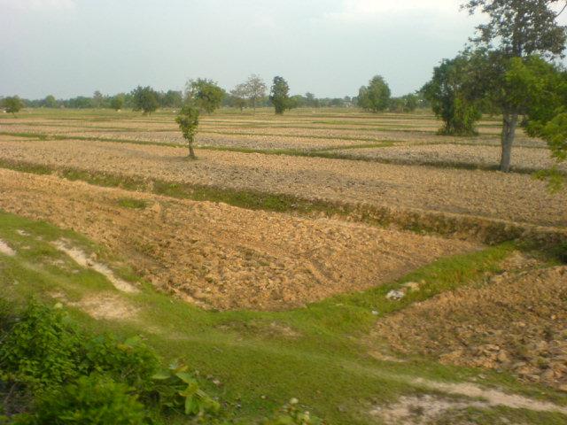 View from the train