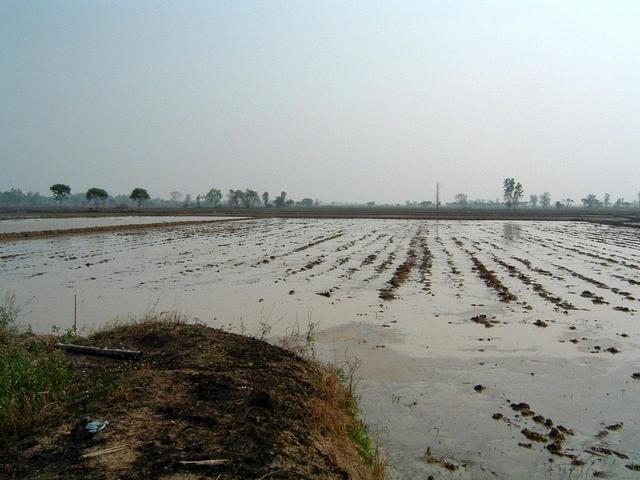 Looking South from the Confluence