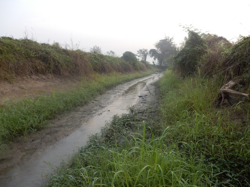 The Confluence Ditch