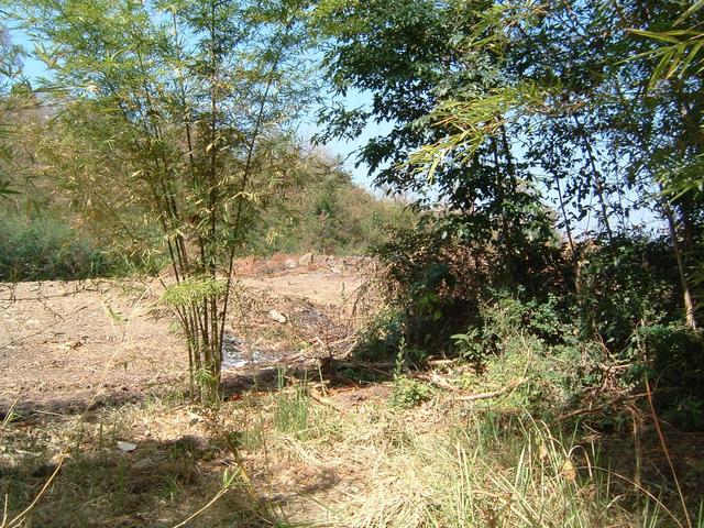 Looking North from Confluence