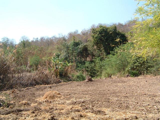 Looking West from Confluence