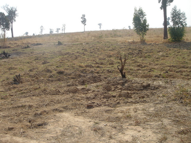 General view of the terrain approaching the confluence.