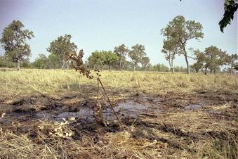 #1: Branch stuck into mud marks the spot; View north-east