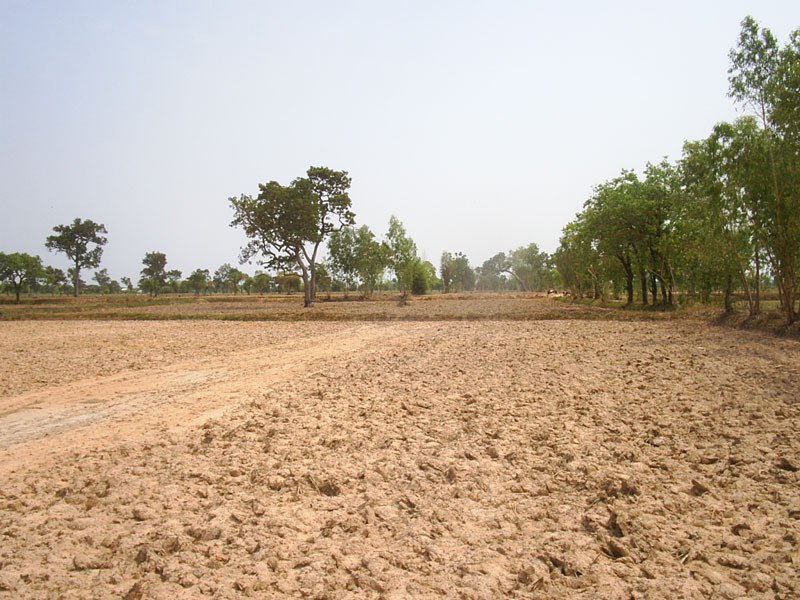 Looking north from the confluence