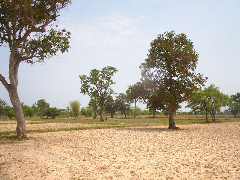 General view of the area near the confluence (I)