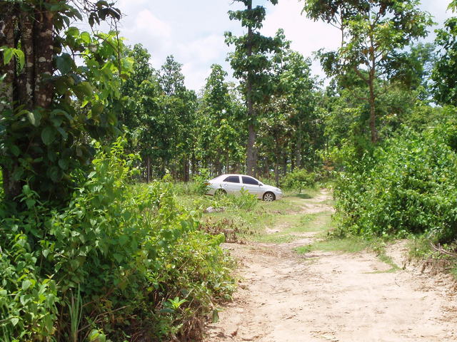 My car deserves some TLC after being driven down a track like this