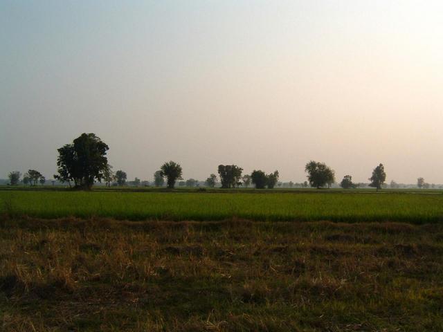 Looking South from confluence