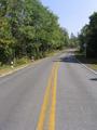 #10: Road passing confluence, the spot is in forest on left