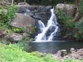 #7: Waterfall along road