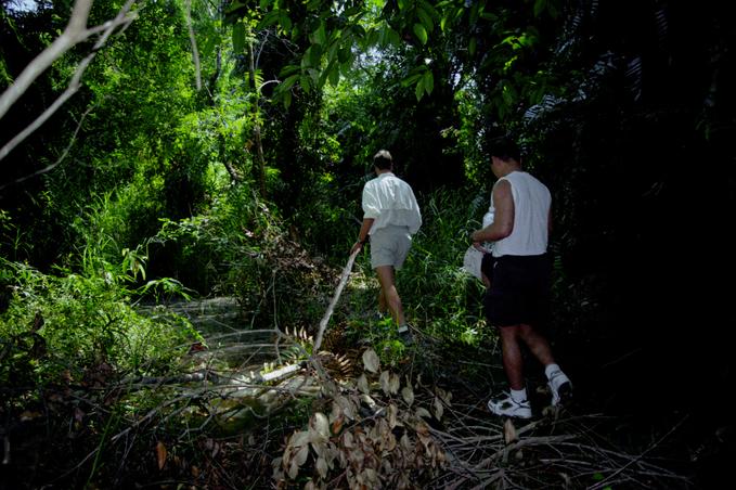 Entering swamp/jungle on hike to confluence