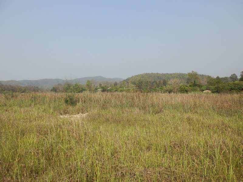 The Confluence from 25 m distance