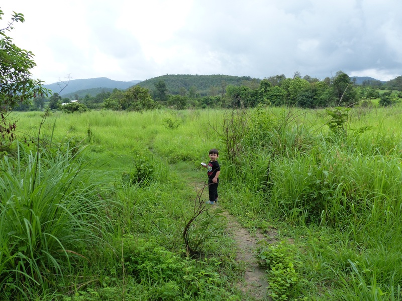 Path to the confluence.