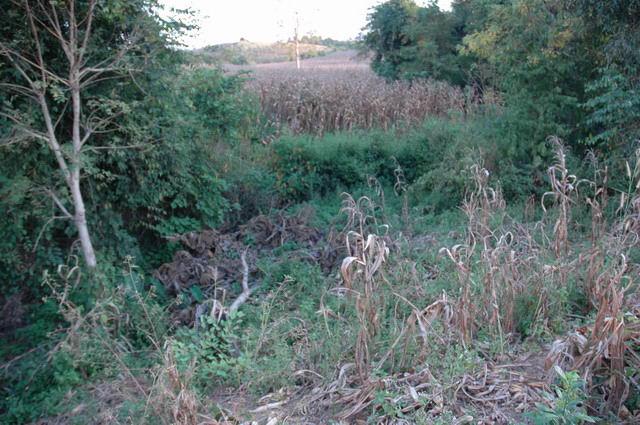 The nasties Ditch