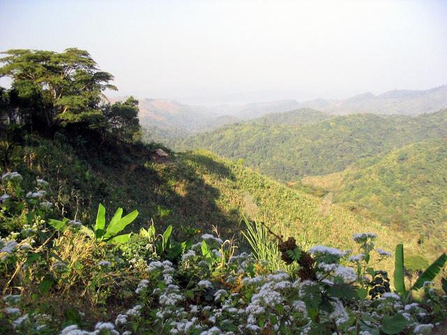 Type of terrain in the area around confluence