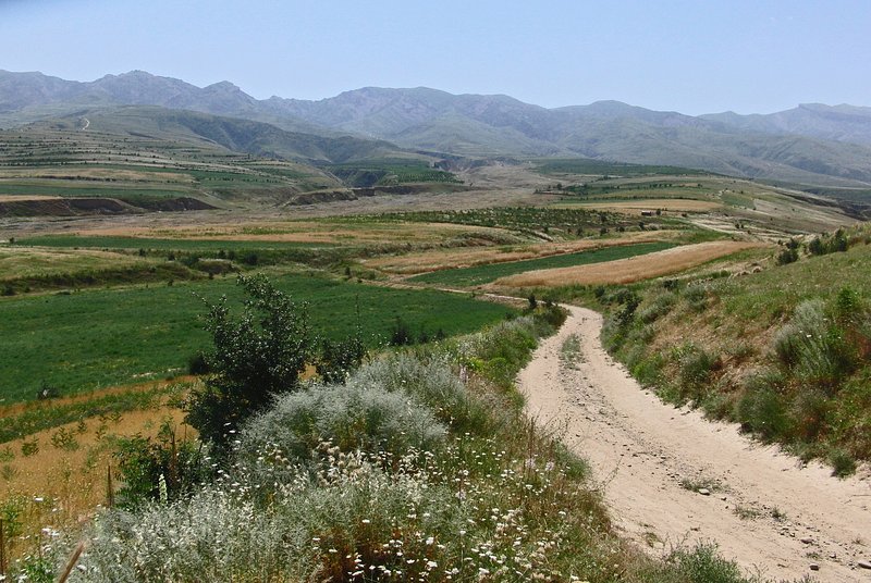 Road to the confluence