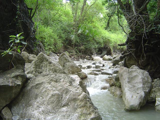 View to the South, up the stream