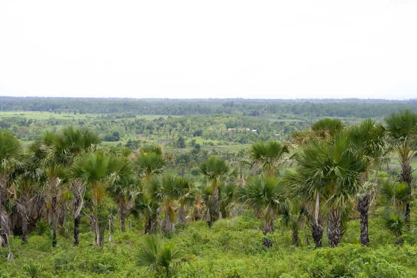 View south to Timor Sea