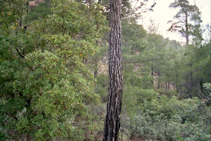 Looking West from the Point