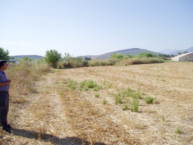 North, with Sayed's shadow across the ground