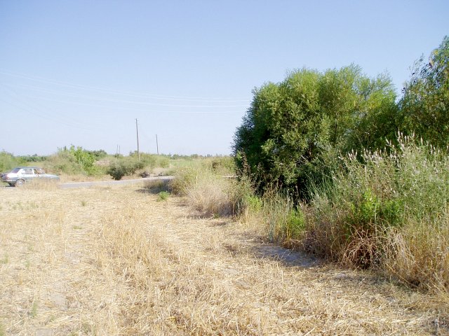 South, looking towards the roadway