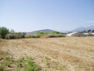 #1: General view, looking north towards Yanköy