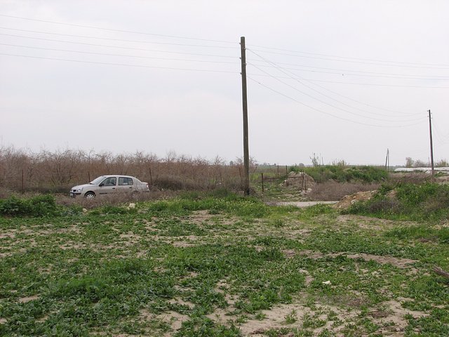 View east from Confluence