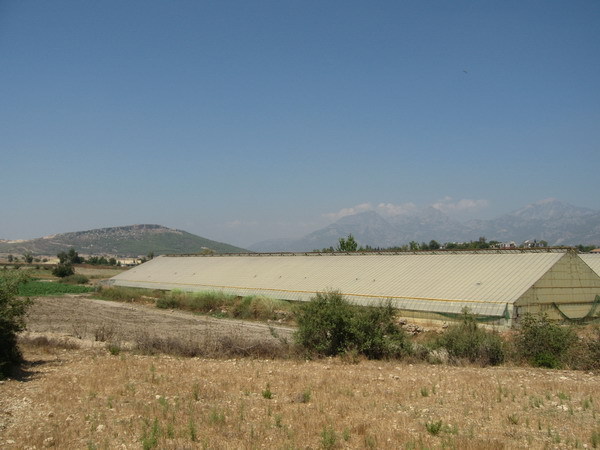 North view from Confluence