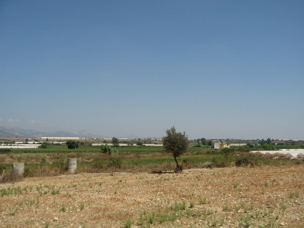 East view from Confluence