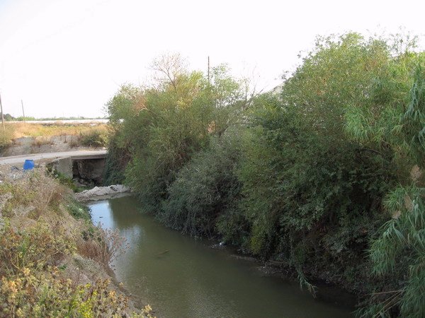 South view from confluence point