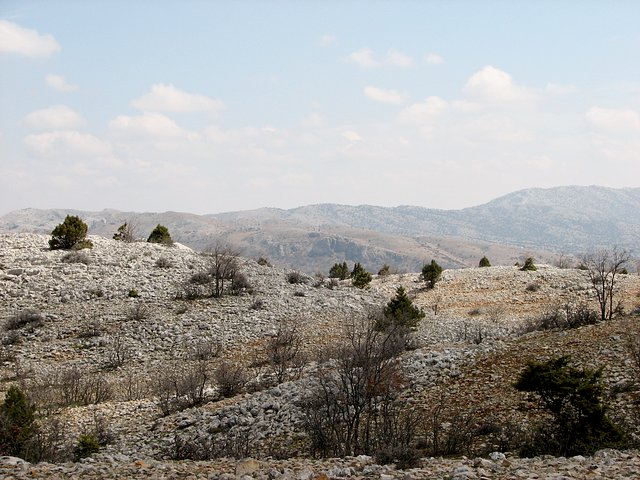 View east from Confluence